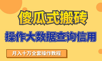 搬砖操作大数据查询信用项目赚钱教程,祝你快速月入6万-项目资源库