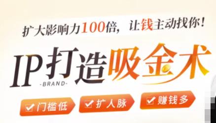 IP打造吸金术:0基础0资源,也能扩大影响力100倍,让钱主动找你!-项目资源库