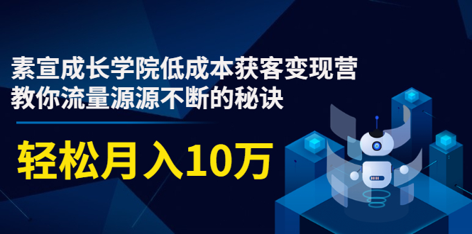 素宣成长学院低成本获客变现营，教你流量源源不断的秘诀，轻松月入10万-项目资源库