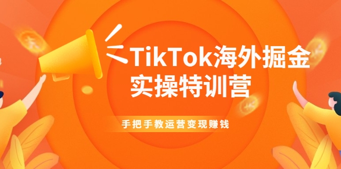 TikTok海外掘金实操特训营：手把手教运营变现赚钱-项目资源库