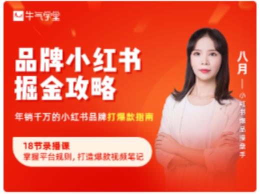 品牌小红书掘金攻略，年销千万的小红书品牌打爆款指南-项目资源库