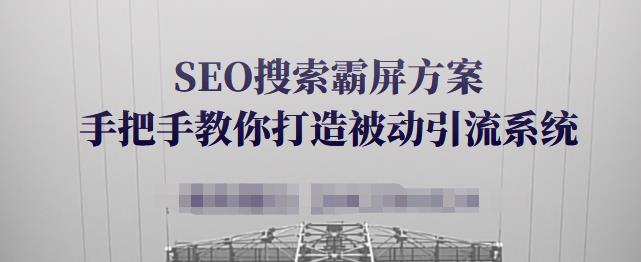 SEO搜索霸屏方案，手把手教你打造被动引流系统【视频课程】-项目资源库
