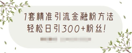 1套精准引流金融粉方法，轻松日引300+粉丝-项目资源库