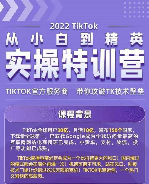 Seven漆·2022Tiktok从小白到精英实操特训营,带你掌握Tiktok账号运营-项目资源库