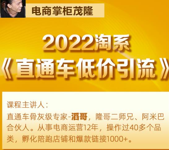 茂隆2022直通车低价引流玩法，教大家如何低投入高回报的直通车玩法-项目资源库