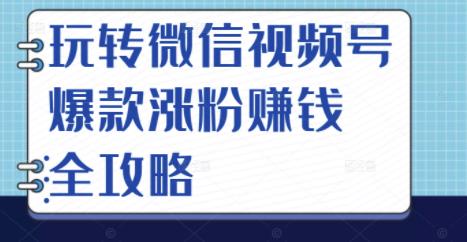 玩转微信视频号爆款涨粉赚钱全攻略,让你快速抓住流量风口,收获红利财富-项目资源库