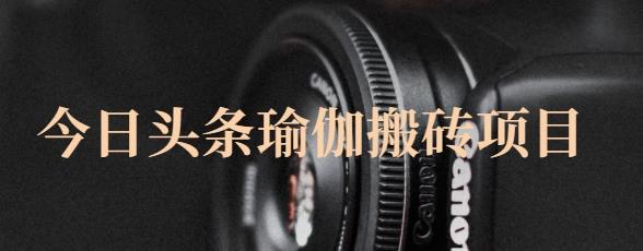 猎人社区·今日头条瑜伽搬砖项目，单号一天几十收入，可以批量操作！-项目资源库