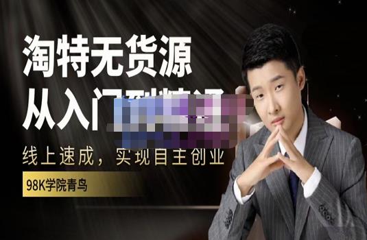 98k学院的淘特无货源线上速成课,从入门到精通,让你最小投入,最高回报-项目资源库