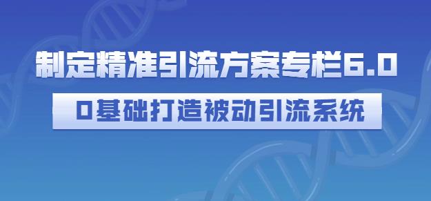 制定精准引流方案专栏6.0,0基础打造被动引流系统-项目资源库