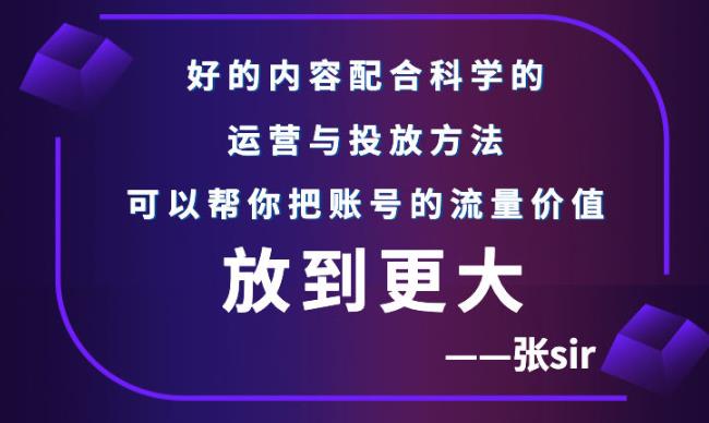 张sir账号流量增长课,告别海王流量,让你的流量更精准-项目资源库
