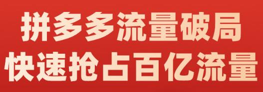 阿杰·拼多多流量破局:如何打黑标，爆款的思路，拼多多流量框架，快速抢占百亿流量-项目资源库