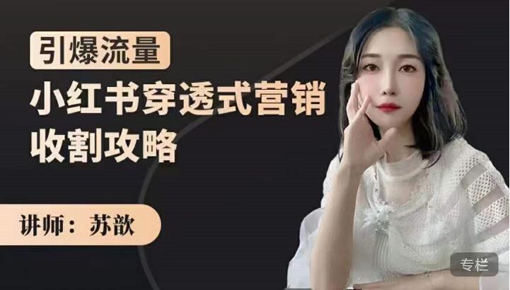 苏歆：小红书穿透式营销收割攻略，引爆流量，助你玩转小红书-项目资源库