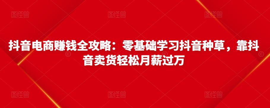 抖音电商赚钱全攻略：零基础学习抖音种草，靠抖音卖货轻松月薪过万-项目资源库