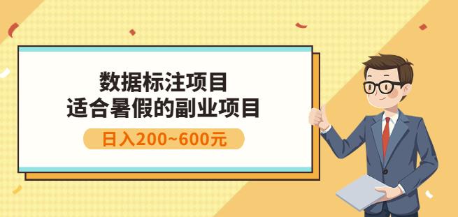副业赚钱：人工智能数据标注项目，简单易上手，小白也能日入200+-项目资源库