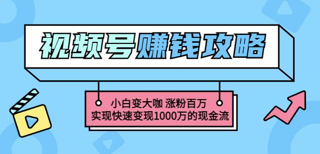 玩转微信视频号赚钱：小白变大咖涨粉百万实现快速变现1000万的现金流-项目资源库