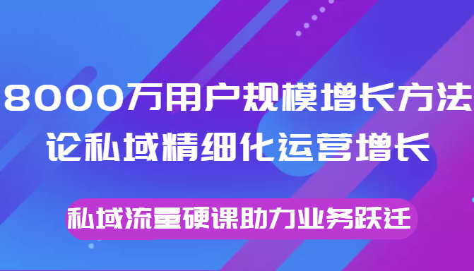 8000万用户规模增长方法论私域精细化运营增长，私域流量硬课助力业务跃迁-项目资源库