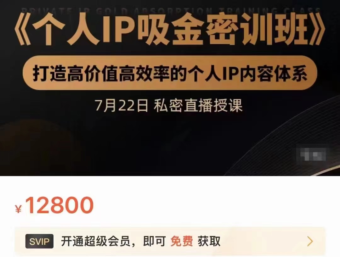 个人IP吸金密训班，打造高价值高效率的个人IP内容体系（价值12800元）-项目资源库