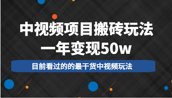 中视频项目搬砖玩法，一年变现50w，目前看过的的最干货中视频玩法-项目资源库