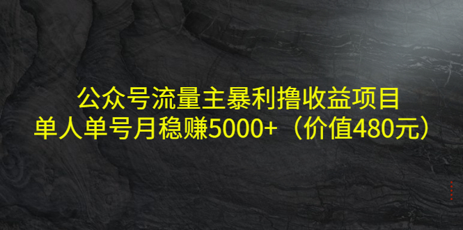 公众号流量主暴利撸收益项目，单人单号月稳赚5000+（价值480元）-项目资源库