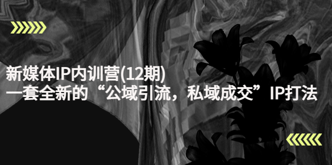 新媒体IP内训营(12期)，一套全新的“公域引流，私域成交”IP打法，直接带走-项目资源库