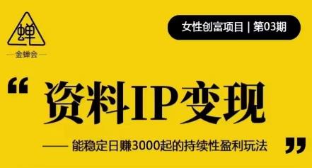 资料IP变现,能稳定日赚3000起的持续性盈利玩法-项目资源库