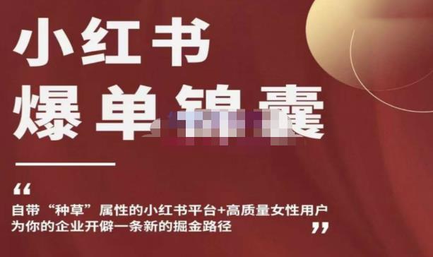 小红书爆单锦囊,自带种草属性+高质量女性用户,为你的企业开辟一条新的掘金路径-项目资源库