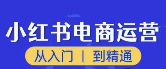 顽石小红书电商高阶运营课程,从入门到精通,玩法流程持续更新-项目资源库