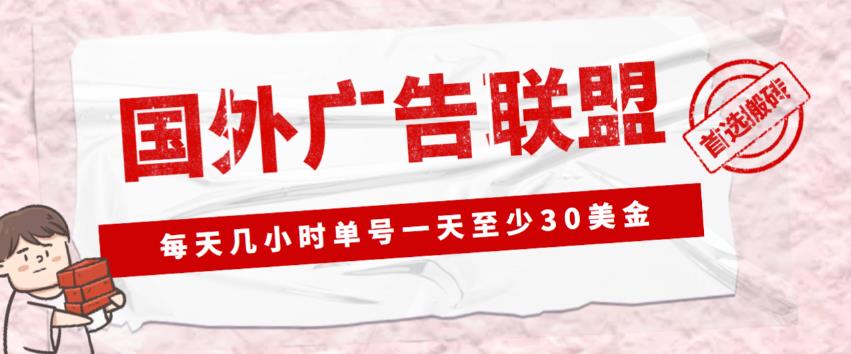 外面收费1980的最新国外LEAD广告联盟搬砖项目，单号一天至少30美金【详细玩法教程】-项目资源库
