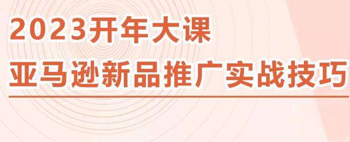 2023亚马逊新品推广实战技巧，线下百万美金课程的精简版，简单粗暴可复制，实操性强的推广手段-项目资源库