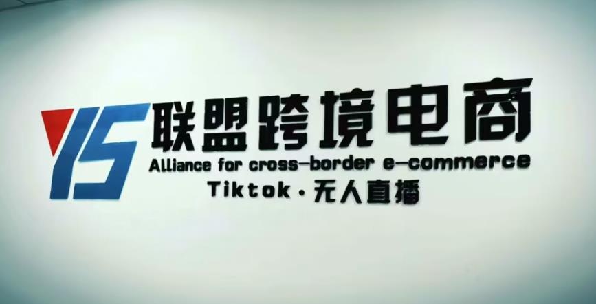 YS联盟·Tiktok无人直播,不出镜不剪辑不拍摄不发货无售后的跨境短视频躺赚玩法-项目资源库