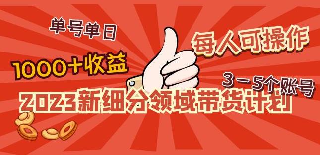 2023新细分领域带货计划:单号单日1000+收益不难,每人可操作3-5个账号-项目资源库