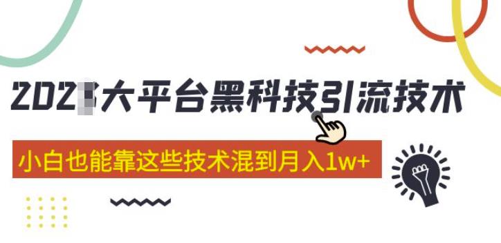大平台黑科技引流技术,小白也能靠这些技术混到月入1w+(2022年的课程)-项目资源库