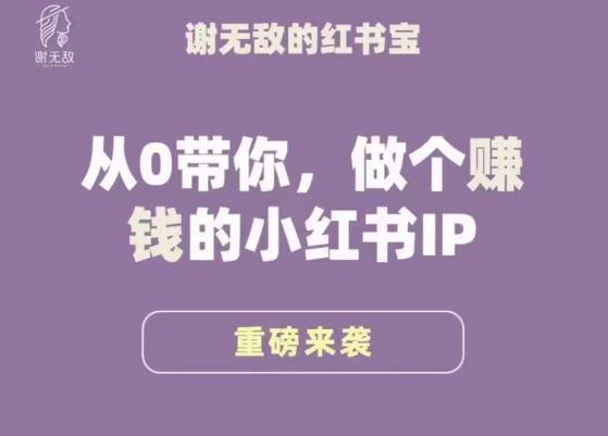 谢无敌·小红书运营大宝典,从0带你做个赚钱的小红书IP-项目资源库