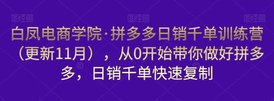 白凤电商学院·拼多多日销千单训练营,从0开始带你做好拼多多,日销千单快速复制(更新知2023年3月)-项目资源库