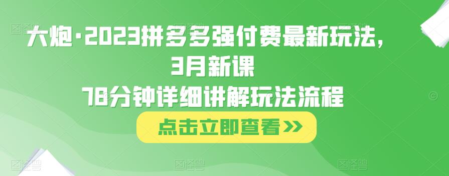 大炮·2023拼多多强付费最新玩法，3月新课​78分钟详细讲解玩法流程-项目资源库