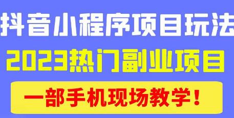 抖音小程序9.0新技巧,2023热门副业项目,动动手指轻松变现-项目资源库