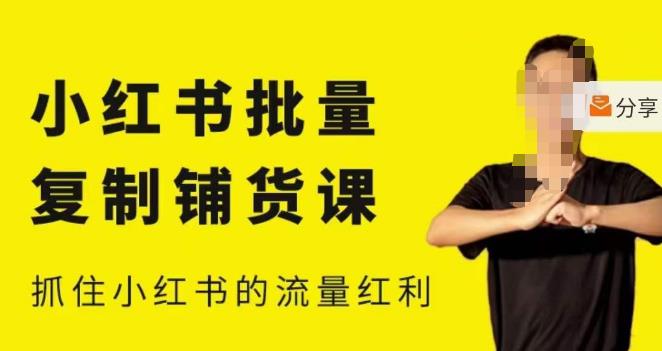 张宾·小红书批量复制铺货课,小红书0-1快速起号变现玩法,抓住小红书的流量红利(更新2023年3月)-项目资源库