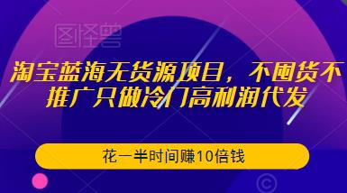 淘宝蓝海无货源项目,不囤货不推广只做冷门高利润代发,花一半时间赚10倍钱-项目资源库