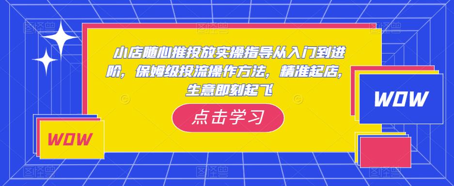 小店随心推投放实操指导从入门到进阶,保姆级投流操作方法,精准起店,生意即刻起飞-项目资源库