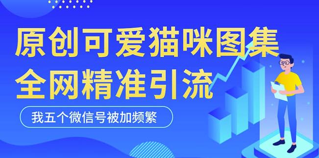 黑科技纯原创可爱猫咪图片，全网精准引流，实操5个VX号被加频繁-项目资源库