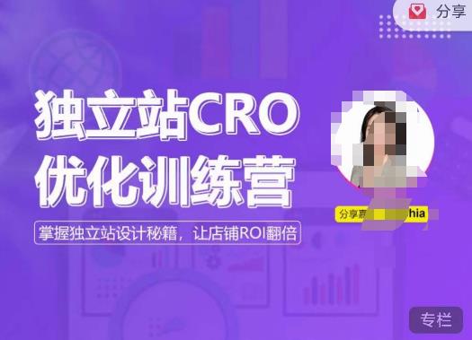 独立站CRO优化训练营,掌握独立站设计秘籍,打造高转化的独立站,让店铺ROI翻倍-项目资源库
