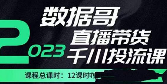 数据哥2023直播电商巨量千川付费投流实操课,快速掌握直播带货运营投放策略-项目资源库