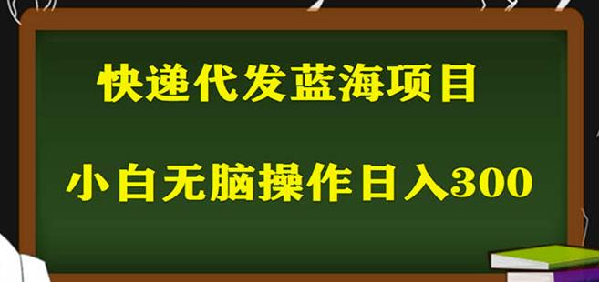 2023最新蓝海快递代发项目，小白零成本照抄也能日入300+-项目资源库