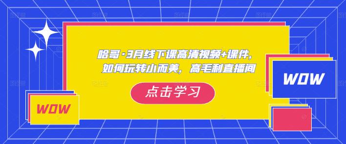 哈哥·3月线下实操课高清视频+课件,如何玩转小而美,高毛利直播间-项目资源库