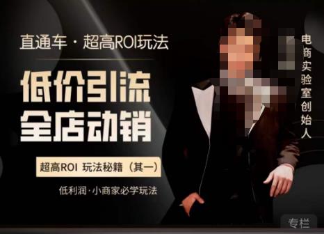 电商冰可乐·直通车·《低价引流·全店动销》，直通车·超高ROI玩法（其一）全店动销必学玩法-项目资源库
