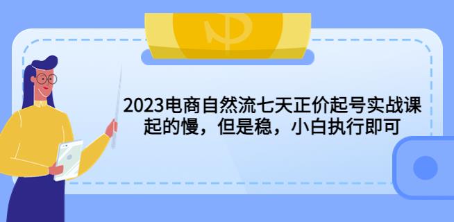2023电商自然流七天正价起号实战课：起的慢，但是稳，小白执行即可！-项目资源库