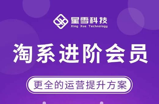 星雪·淘系进阶课程，快速提升突破技能流量瓶颈必备（更新2023年5月）-项目资源库