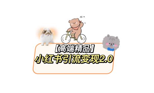 小红书最新引流变现教程，全网最新最详细的视频教程以及素材-项目资源库