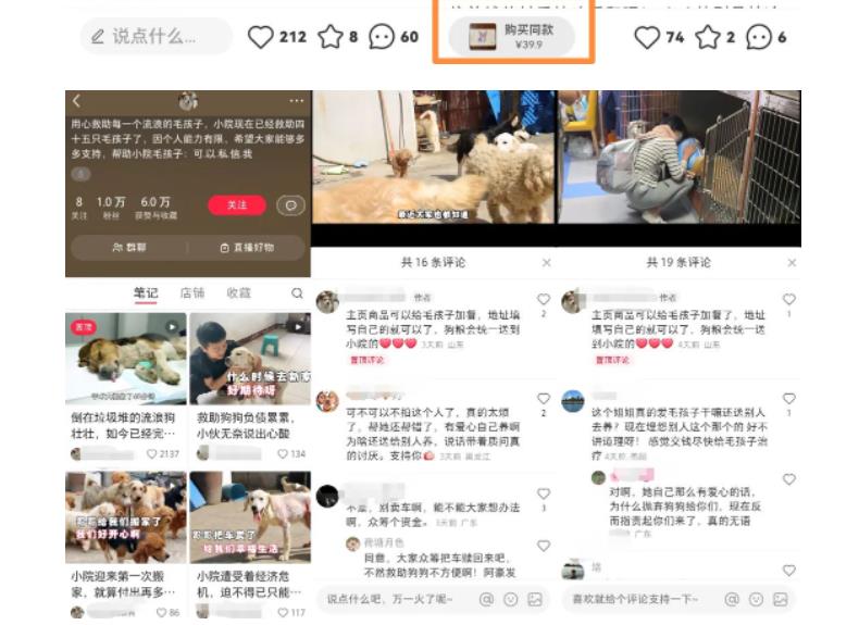 小红书蓝海类赛道:小动物打赏与购买变现副业项目,一条龙玩法分享给你!-项目资源库