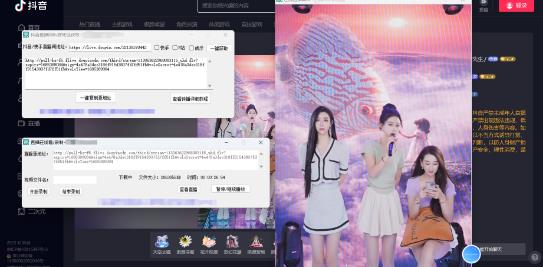 最新电脑版抖音/快手/B站直播源获取+直播间实时录制+直播转播软件【全套软件+详细教程】-项目资源库